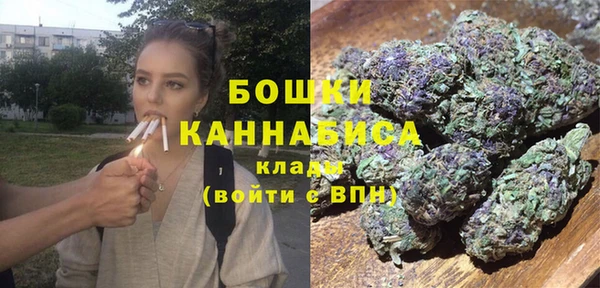 молекула духа Гусев
