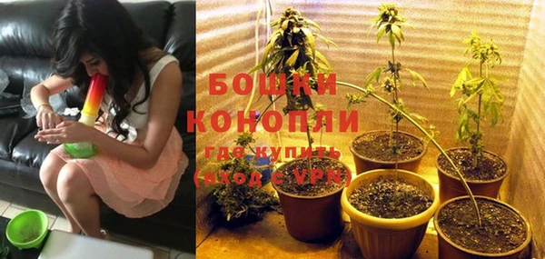 Альфа ПВП Горно-Алтайск