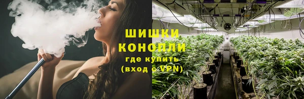 Альфа ПВП Горно-Алтайск