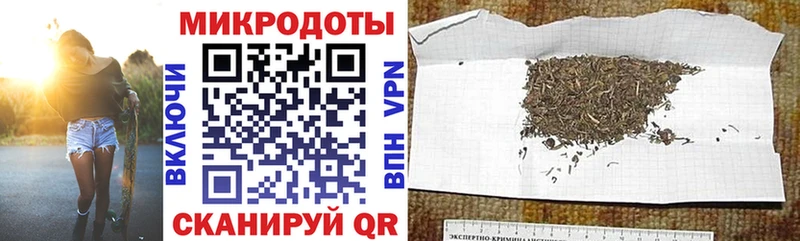 Купить закладки  Рассказово  Псилоцибиновые грибы Cubensis 